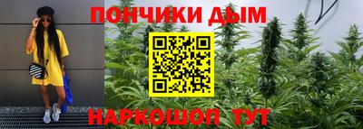 гашик Кулебаки
