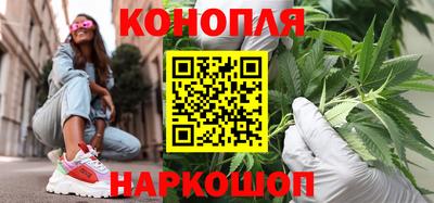гашик Кулебаки