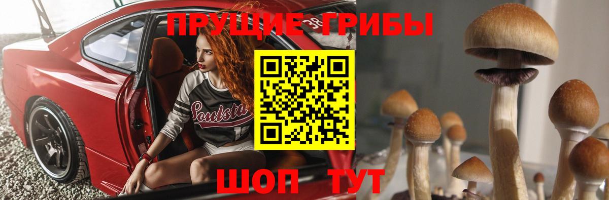 Альметьевск  Галлюциногенные грибы Cubensis  Вход с VPN 